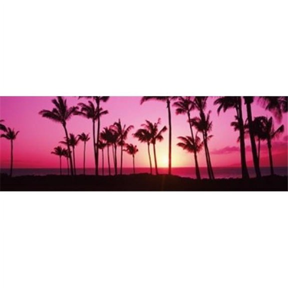 Panoramic Images PPI145433S Silhouette of Palm Trees At Dusk Hawaii USA Poster Print, 18 x 6