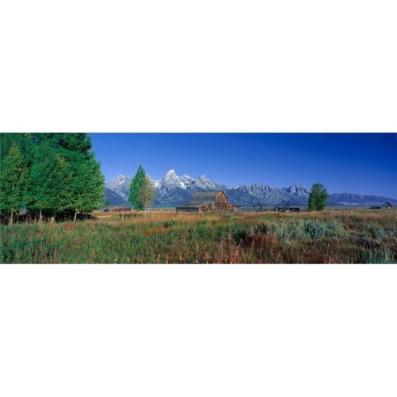 Pioneer Farm Grand Teton National Park Panoramic Poster Print