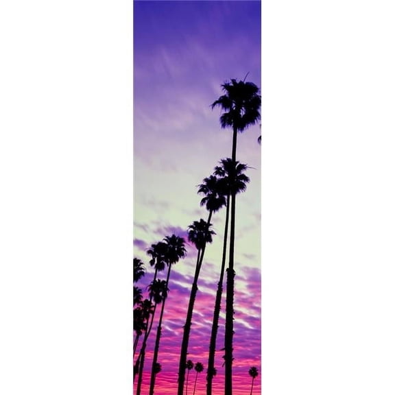 Panoramic Images PPI164964 Silhouette of Palm Trees At Sunrise Santa Barbara California USA Poster Print, 6 x 18