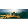 thumbnail image 1 of Panoramic Images PPI168087LARGE Shack On The Coast At Night Windansea Beach La Jolla San Diego San Diego County California USA Poster Print, 12 x 36 - Large, 1 of 1