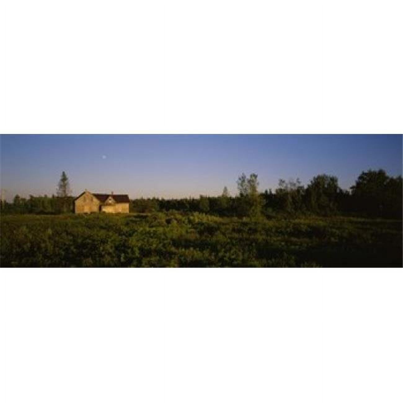Abandoned house in a field, Ellenburg, New York, USA Poster Print (36 x