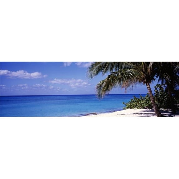 Panoramic Images PPI29068S Palm Tree On The Beach Seven Mile Beach Grand Cayman Cayman Islands Poster Print, 9 x 30