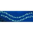 thumbnail image 1 of Panoramic Images PPI65386L School of fish Great Barrier Reef Australia Poster Print by Panoramic Images - 36 x 12, 1 of 1