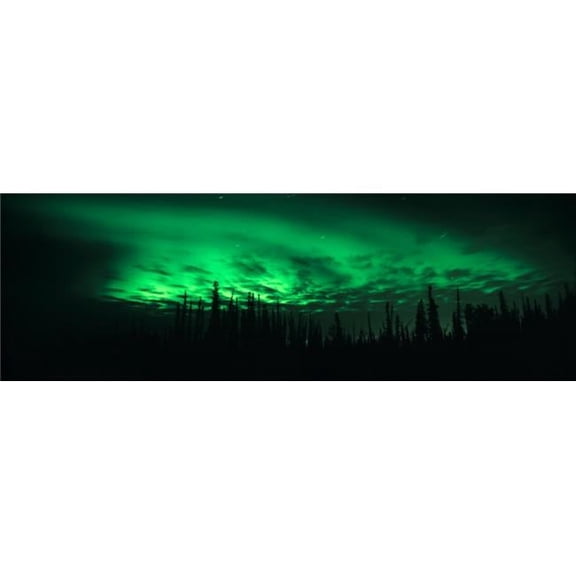 Panoramic Images PPI69574S View of The Northern Lights Aurora Borealis Fairbanks Alaska USA Poster Print, 27 x 9