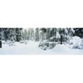 thumbnail image 1 of Panoramic Images PPI75154L Trees Lake Tahoe Ca Poster Print, 36 x 12, 1 of 1