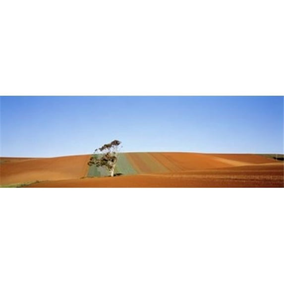 Panoramic Images PPI78102L Australia Poster Print by Panoramic Images - 36 x 12