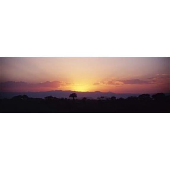 Panoramic Images PPI82823L Sunset over a landscape Tarangire National Park Tanzania Poster Print by Panoramic Images - 36 x 12