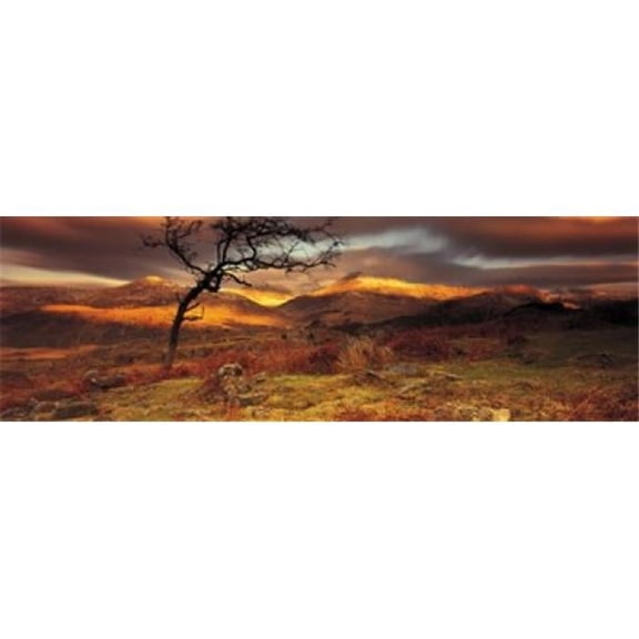 Panoramic Images PPI86148S Snowdonia National Park Wales United Kingdom Poster Print, 18 x 6
