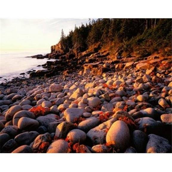 Panoramic Images PPI89129 Maine Acadia National Park Poster Print by Panoramic Images, 16 x 12
