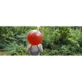thumbnail image 1 of Panoramic Images PPI93677L Woman blowing a balloon  Germany Poster Print by Panoramic Images - 36 x 12, 1 of 1