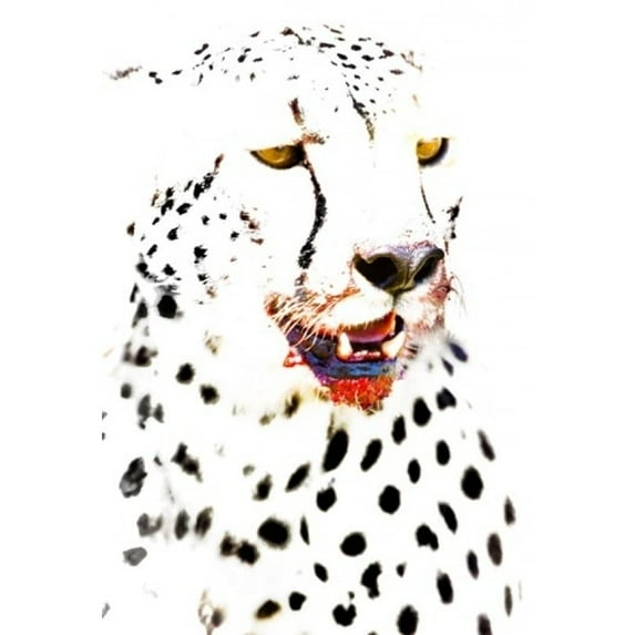 Panoramic Images PPI95784 Close-up of a cheetah Ngorongoro Conservation Area Arusha Region Tanzania - Acinonyx jubatus Poster Print by Panoramic Images - 17 x 24