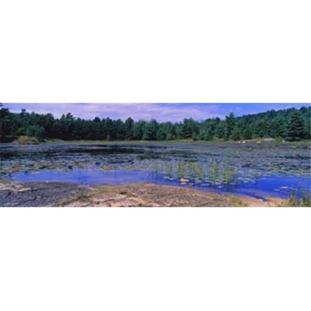 Panoramic Images Pond in a national park Bubble Pond Acadia National Park Mount Desert Island Hancock County Maine USA Poster Print by Panoramic Images - 36 x 12