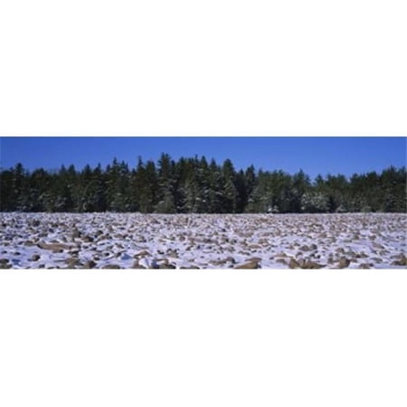 Panoramic Images Rocks in snow covered landscape Hickory Run State Park Pocono Mountains Pennsylvania USA Poster Print by Panoramic Images