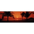 thumbnail image 1 of Panoramic Images  Silhouette of palm trees on the beach at dusk Lydgate Park Kauai Hawaii USA Poster Print by Panoramic Images - 36 x 12, 1 of 1
