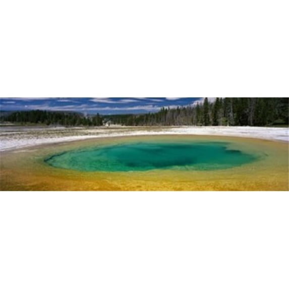 Panoramic Images Spring Beauty Pool Yellowstone National Park Wyoming USA Poster Print by Panoramic Images - 36 x 12