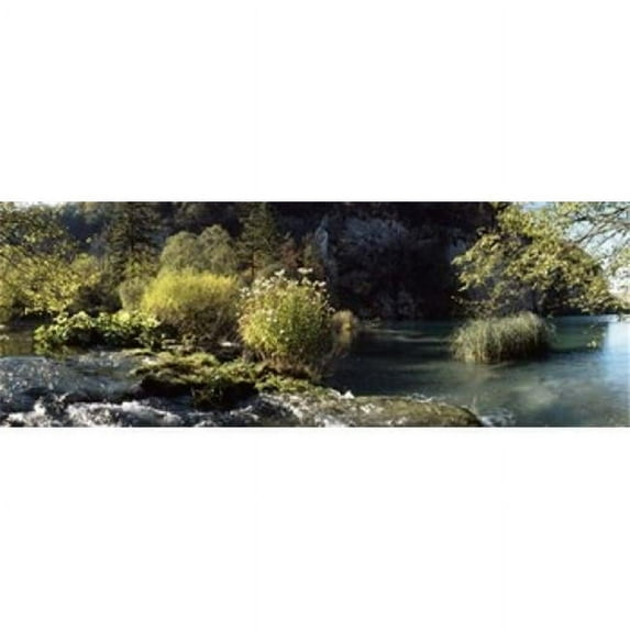 Panoramic Images PPI133133L Trees and plants at the lakeside Plitvice Lake Plitvice Lakes National Park Croatia Poster Print by Panoramic Images - 36 x 12