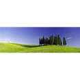 thumbnail image 1 of Panoramic Images  Trees on a landscape Val DOrcia Siena Province Tuscany Italy Poster Print by Panoramic Images - 36 x 12, 1 of 1