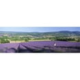 thumbnail image 1 of Panoramic Images PPI137097L Woman in a field of lavender near Villars in Provence  France Poster Print by Panoramic Images - 36 x 12, 1 of 1