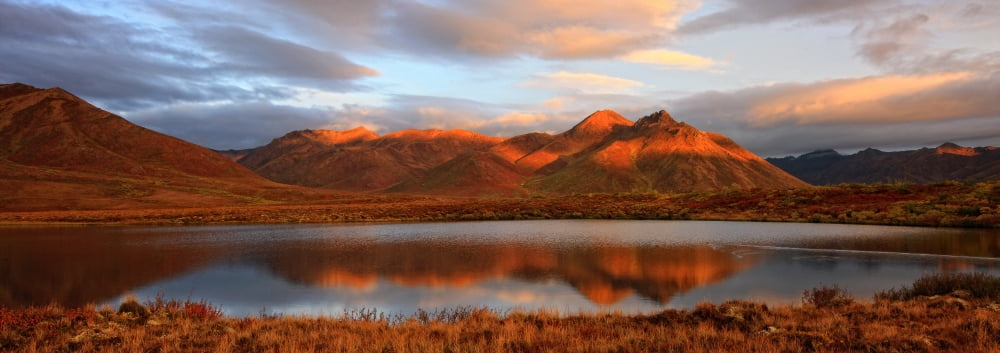 Panoramic Of Sunrise Over Mount Adney Reflected In A Pond In Fall Along The Dempster Highway Yukon Canvas Art - Robert Postma Design Pics (44 x 15)