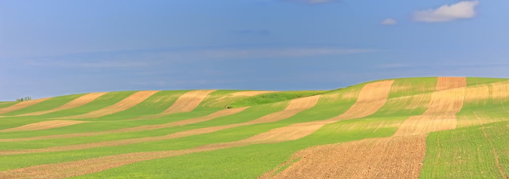 Panoramic Picture Of Patterns In Farmers Field Saskatchewan Canvas Art - Robert Postma Design Pics (44 x 15)