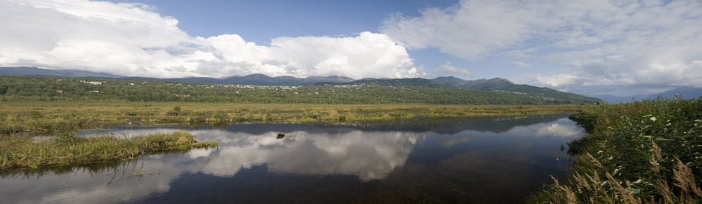 Panoramic Scenic Of Potter Marsh Near Anchorage In Southcentral Alaska During Summer Canvas Art - Daryl Pederson Design Pics (40 x 11)