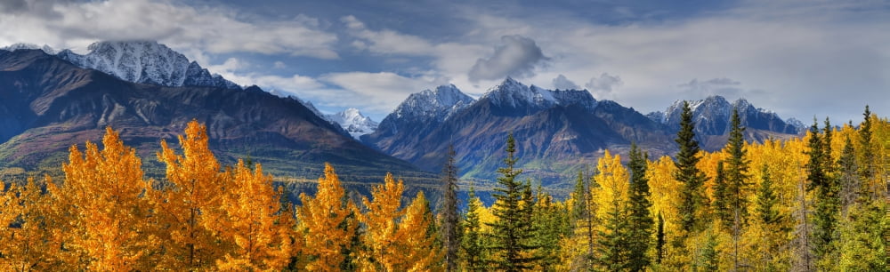 Panoramic View Of The Fall Foliage And Snowcapped Chugach Mountains Along The Glenn Highway Southcentral Alaska Autumn Hdr Canvas Art - Lucas Payne Design Pics (44 x 13)