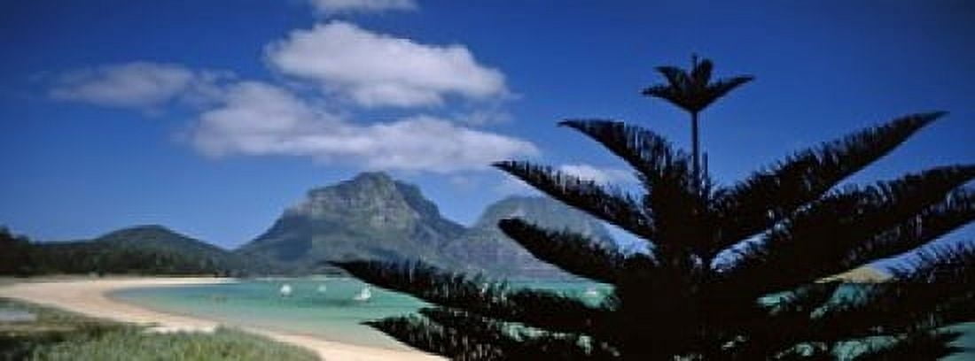 Panoramic View Of A Coastline Lord Howe Island Australia Canvas Art - Panoramic Images (15 x 6)
