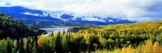 Panoramic View Of A Landscape Yukon River Alaska USA Canvas Art - Panoramic Images (36 x 12)