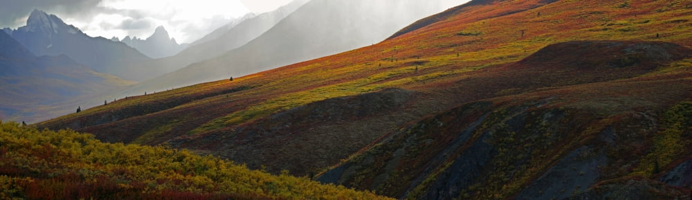 Panoramic View Of The North Klondike Valley In Autumn Dempster Highway Yukon Canvas Art - Robert Postma Design Pics (27 x 7)
