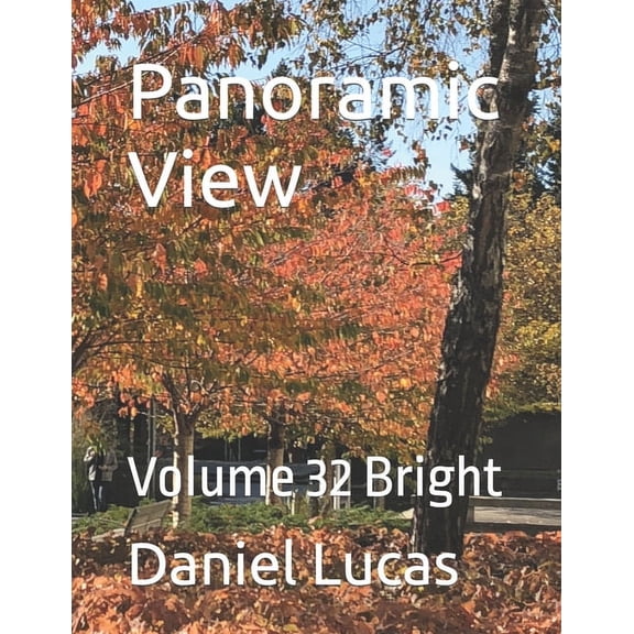 Panoramic View: Volume 32 Bright (Paperback)