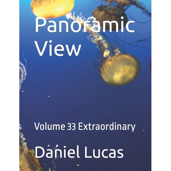 Panoramic View: Volume 33 Extraordinary, (Paperback)