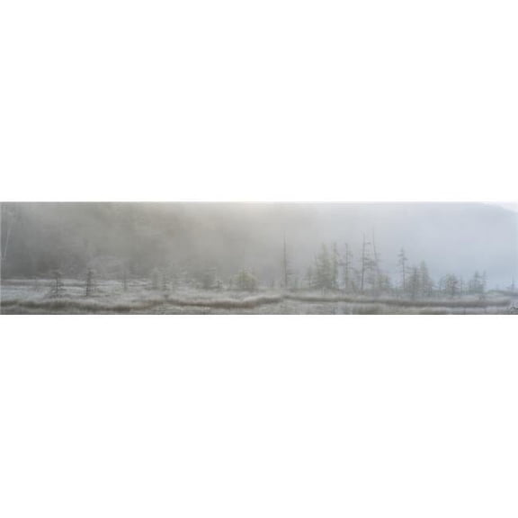 Panoramic View of Early Morning Mist Over A Small Pond Along The Rock Lake Road Algonquin Park - Ontario Canada Poster Print - 46 x 10 in.