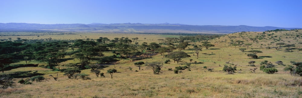 Panoramic landscape of Lewa Conservancy Kenya Africa with Mount Kenya in view Canvas Art - Panoramic Images (36 x 12)