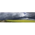 thumbnail image 1 of Panoramic of storm clouds gather over a sunlit canola field and country road; Alberta, Canada Poster Print (25 x 7), 1 of 1