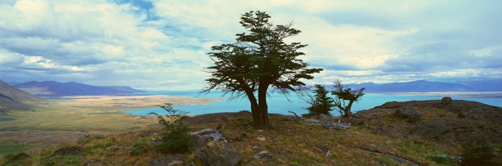Panoramic view of Argentinas largest lake Lago Argentino in Parque Nacional Las Glaciares near El Calafate Patagonia Argentina Canvas Art - Panoramic Images (27 x 9)