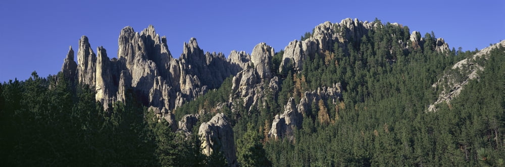 Panoramic view of The Needles on Needles Highway Black Hills near Mount Rushmore National Memorial South Dakota Canvas Art - Panoramic Images (36 x 12)