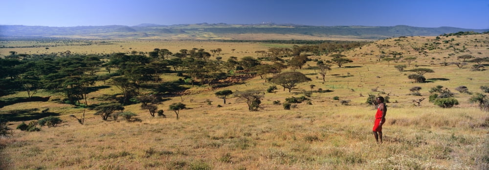 Panoramic view as Masai Warrior in red surveying landscape of Lewa Conservancy Kenya Africa with Mount Kenya Canvas Art - Panoramic Images (12 x 36)