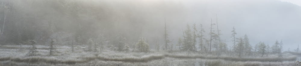 Panoramic view of early morning mist over a small pond along the Rock Lake Road Algonquin Park Ontario Canada Canvas Art - Robert Postma Design Pics (46 x 10)