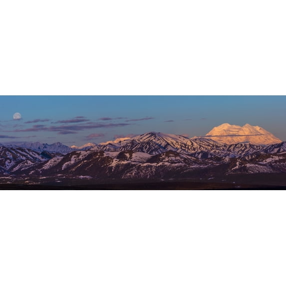 Panoramic view of Denali at sunrise in early summer with a nearly full moon; Alaska, United States of America by Steven Miley / Design Pics (74 x 24)