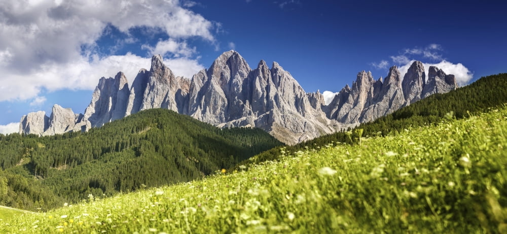 Panoramic view of Dolomite Alps and forest Northern Italy Canvas Art - Evgeny KuklevStocktrek Images (42 x 19)