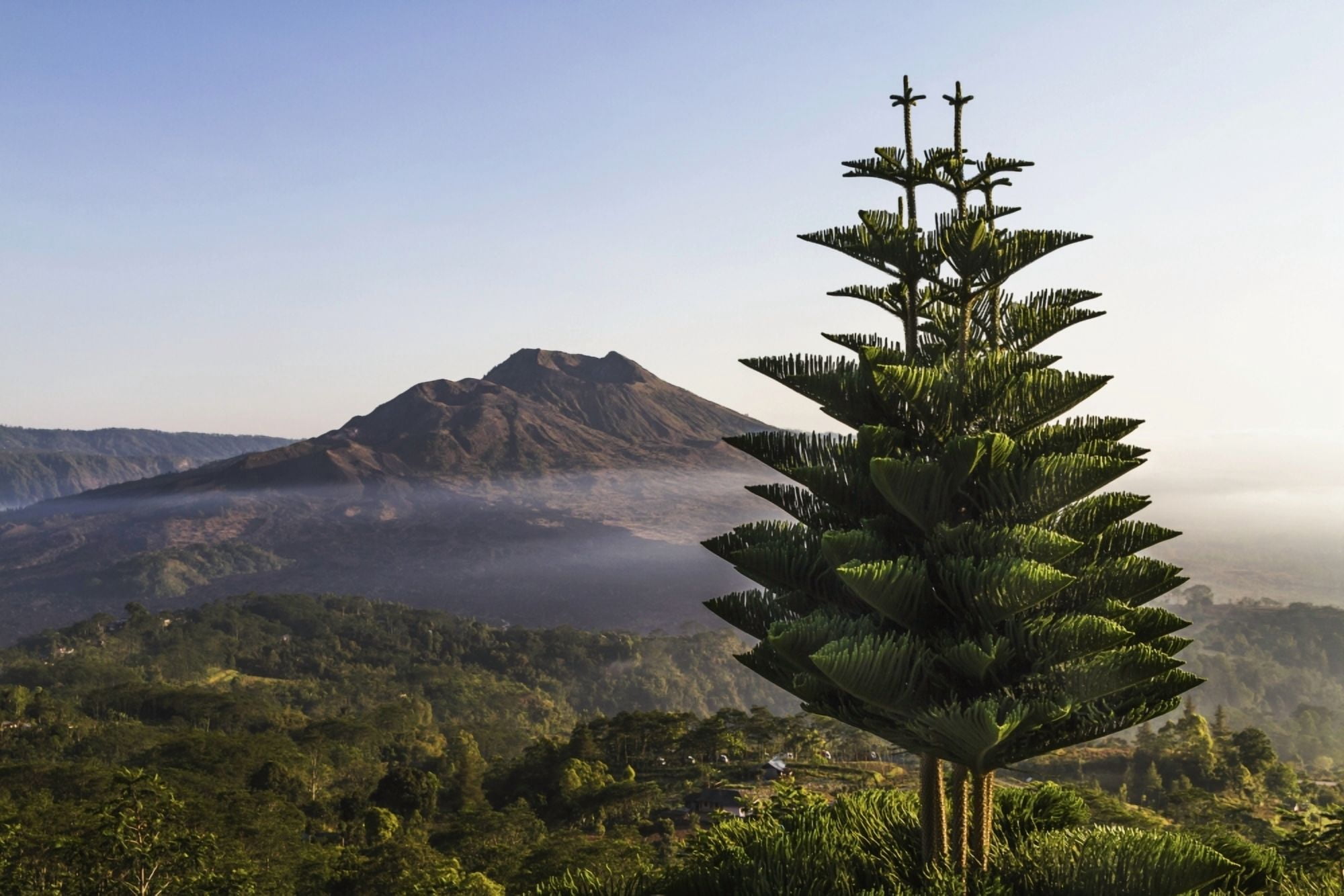 Panoramic view of Mount Batur from Kintamani Bali Indonesia Canvas Art - Peter Langer Design Pics (19 x 12)