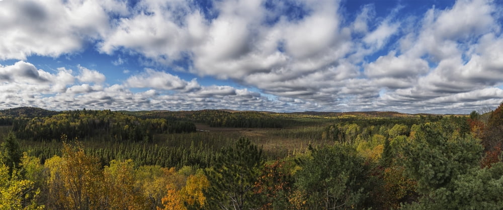 Panoramic view of Sunday Creek during autumn Algonquin Park Ontario Canada Canvas Art - Robert Postma Design Pics (44 x 18)