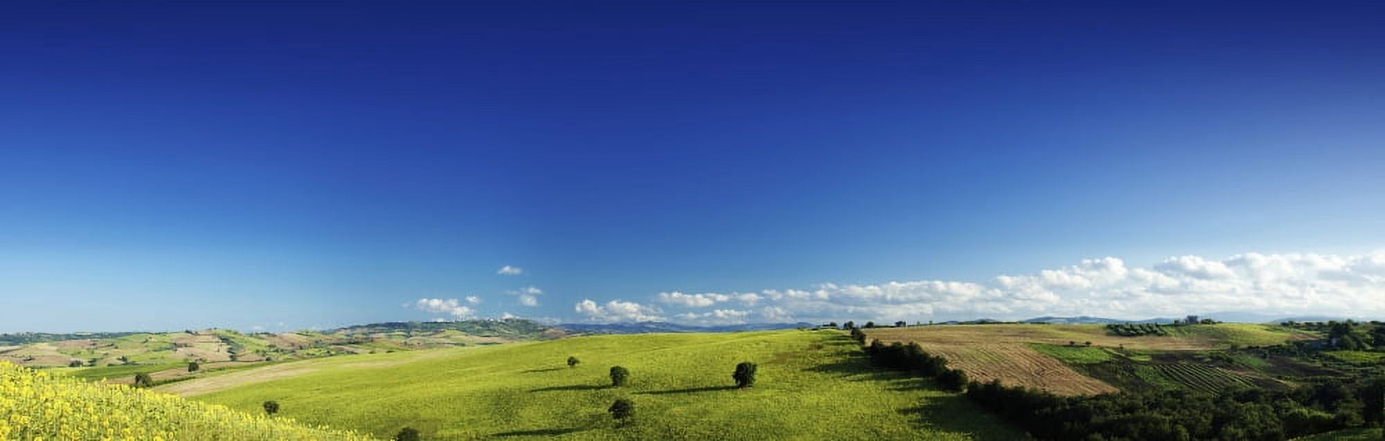 Panoramic view of a green field with lonely trees Tuscany Italy Canvas Art - Evgeny KuklevStocktrek Images (25 x 8)