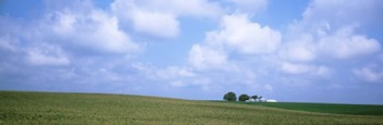 Panoramic view of a landscape Marshall County Iowa USA Canvas Art - Panoramic Images (36 x 12)
