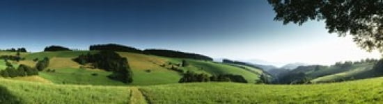 Panoramic view of a landscape St Margen Black Forest Germany Canvas Art - Panoramic Images (42 x 12)
