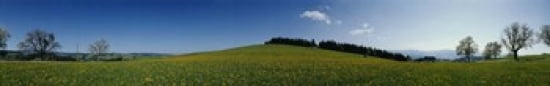 Panoramic view of a landscape St Peter Lindenberg Black Forest Germany Canvas Art - Panoramic Images (44 x 7)