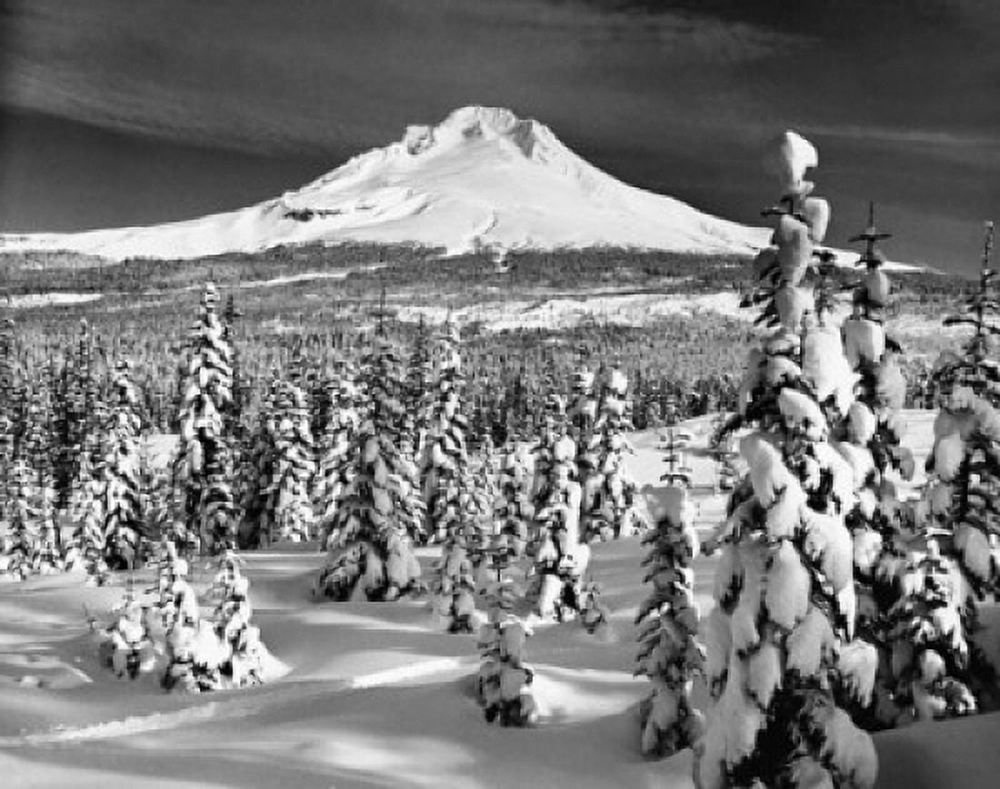 Panoramic view of a snow covered landscape Mount Hood Oregon USA Canvas Art - (24 x 36)