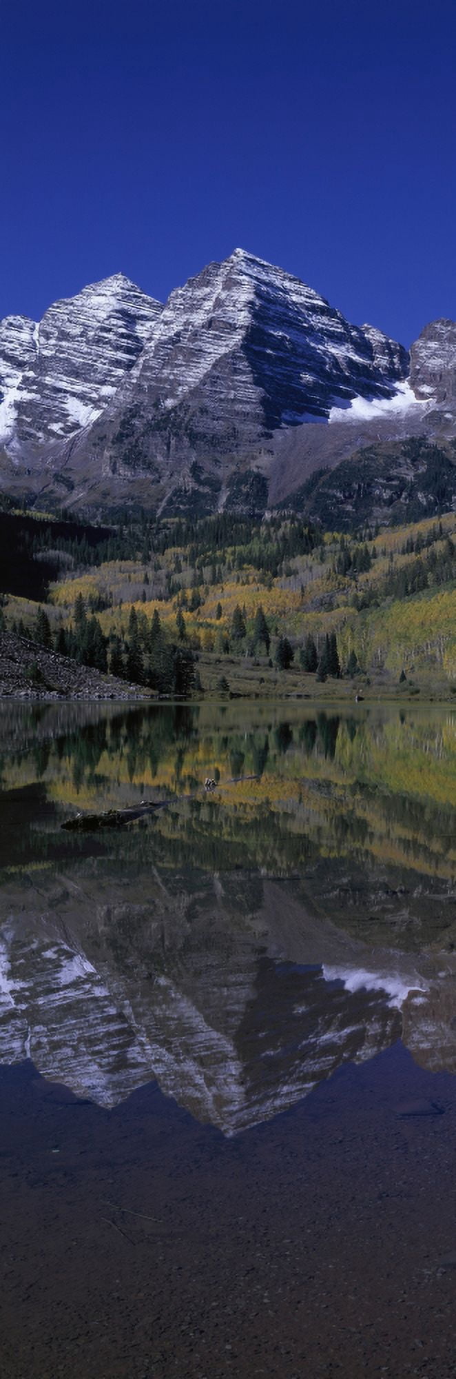 Panoramic view of autumn colors of Aspens reflecting in lake under Maroon Bells Colorado near Aspen Canvas Art - Panoramic Images (27 x 9)