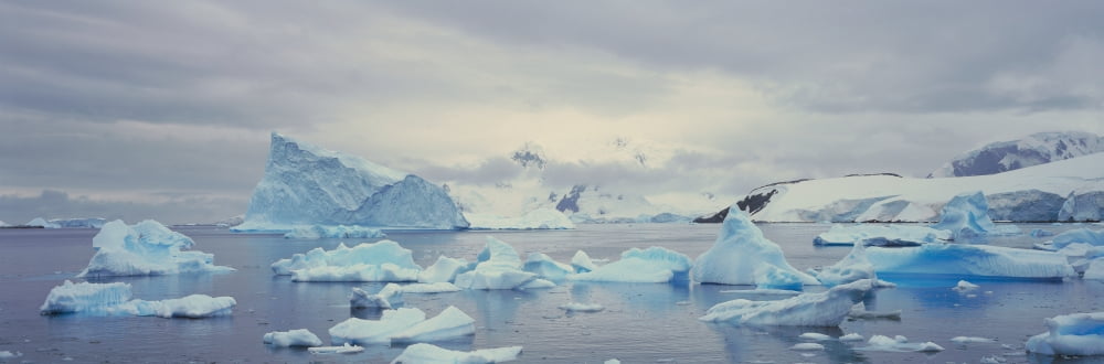 Panoramic view of glaciers and icebergs in Paradise Harbor Antarctica Canvas Art - Panoramic Images (36 x 12)