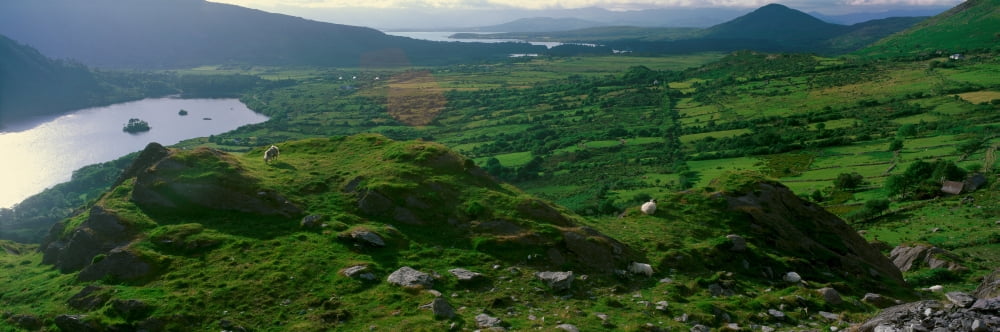 Panoramic view of goats grazing at Healy Pass Cork Ireland Canvas Art - Panoramic Images (36 x 12)